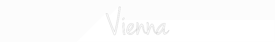Custom Neon: Vienna