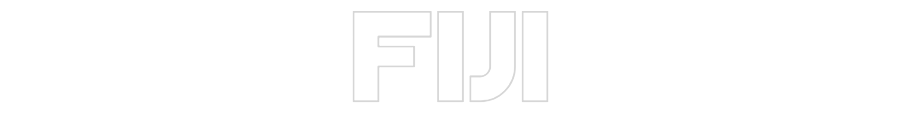 Custom Neon: FIJI
