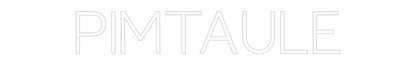 Custom Neon: PIMTAULE