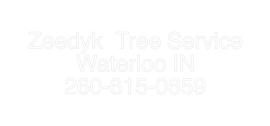 Custom Neon: Zeedyk  Tree ...