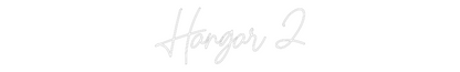 Custom Neon: Hangar 2