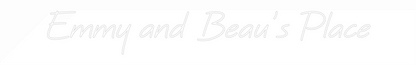 Custom Neon: Emmy and Beau...