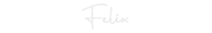 Custom Neon: Felix