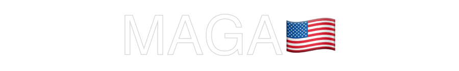 Custom Neon: MAGA🇺🇸