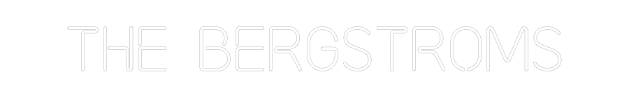 Custom Neon: The Bergstroms