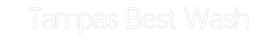 Custom Neon: Tampas Best W...