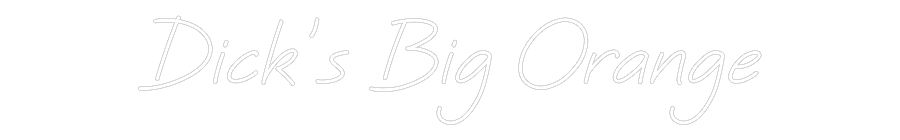 Custom Neon: Dick’s Big Or...
