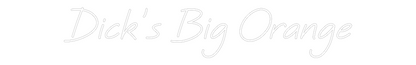 Custom Neon: Dick’s Big Or...