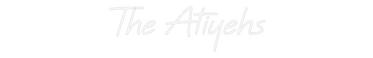 Custom Neon: The Atiyehs